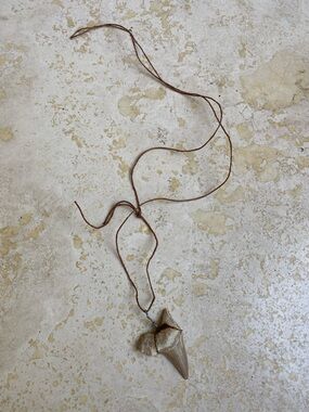 “Shark Tooth” Necklace from Maui-C